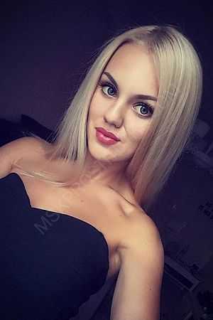 Роза, 84950214507