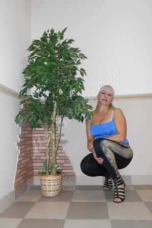 Катя, 84991134676