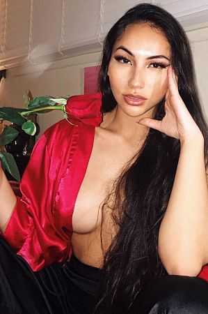 КАРИНА, 84951251115
